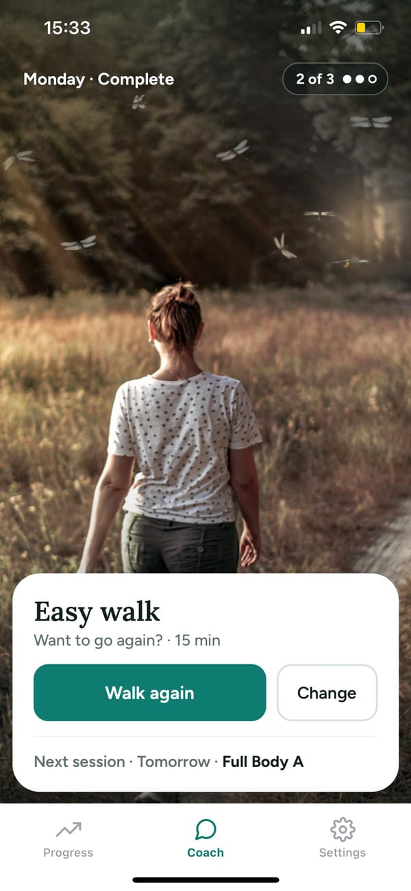 After the session: an optional easy walk and the next session